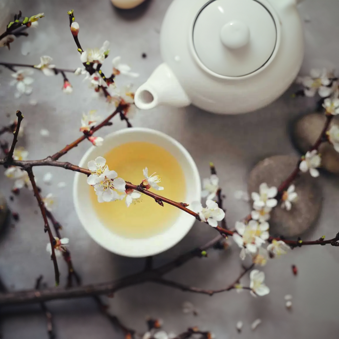 Chabacco - White tea / 白茶 200g